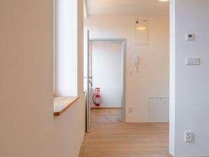 Pronájem bytu 1+kk, Silůvky, Anenská, 40 m2