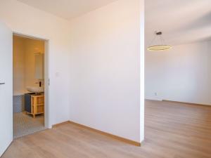 Pronájem bytu 1+kk, Silůvky, Anenská, 40 m2