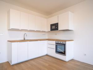 Pronájem bytu 1+kk, Silůvky, Anenská, 40 m2