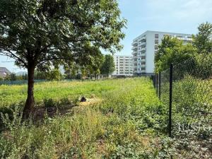 Pronájem pozemku, Teplice, Osiková, 2008 m2