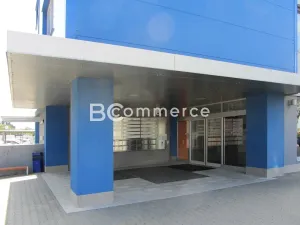 Pronájem kanceláře, Brno, 255 m2