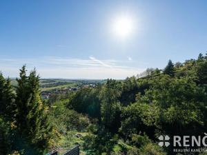 Prodej chalupy, Viničné Šumice, 105 m2