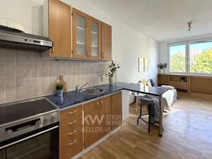 Pronájem bytu 2+kk, Kladno, Holandská, 40 m2