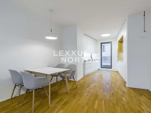 Pronájem bytu 4+kk, Praha - Košíře, Tůmova, 91 m2
