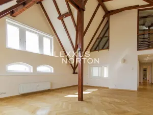 Pronájem bytu 5+1, Praha - Malá Strana, Újezd, 286 m2