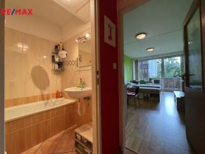Prodej bytu 1+kk, Olomouc - Hodolany, Kavaleristů, 25 m2