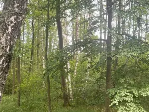 Prodej louky, Chlum u Třeboně - Žíteč, 389696 m2