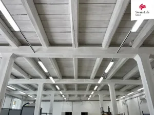 Prodej výrobních prostor, Úpice, Bezručova, 859 m2