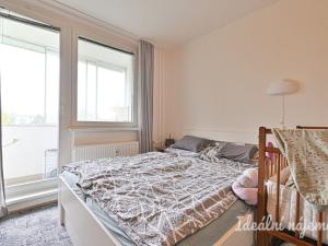 Pronájem bytu 2+1, Brno, Černého, 60 m2
