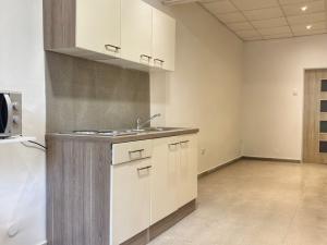 Pronájem kanceláře, Plzeň - Jižní Předměstí, Doudlevecká, 53 m2