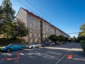 Pronájem bytu 1+1, Jihlava, Havlíčkova, 45 m2