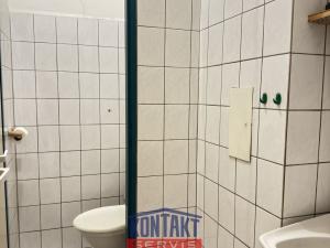 Pronájem kanceláře, České Budějovice - České Budějovice 7, Lidická tř., 361 m2