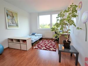 Pronájem bytu 5+kk, Praha - Petrovice, Edisonova, 154 m2