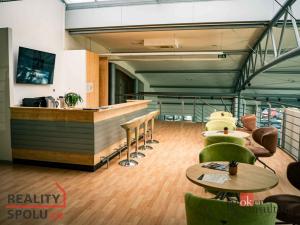 Pronájem kanceláře, Hradec Králové - Pražské Předměstí, Na Okrouhlíku, 13 m2