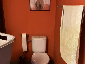 Prodej vícegeneračního domu, Čelechovice na Hané, 438 m2