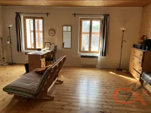 Prodej vícegeneračního domu, Čelechovice na Hané, 438 m2