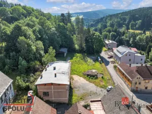 Prodej komerčního pozemku, Olešnice v Orlických horách, 2963 m2