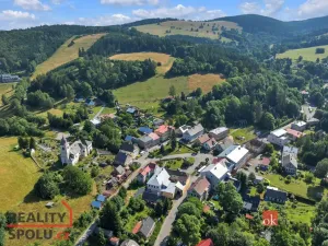 Prodej pozemku pro bydlení, Olešnice v Orlických horách, 2963 m2