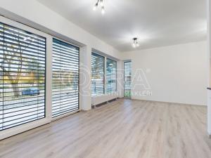 Pronájem bytu 1+kk, Hořovice, Pod Drahou, 39 m2