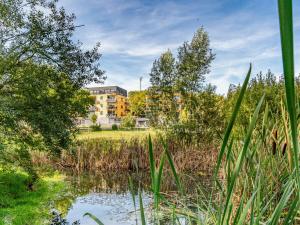 Pronájem bytu 1+kk, Hořovice, Pod Drahou, 39 m2