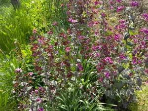 Prodej chaty, Vrchlabí, 12 m2