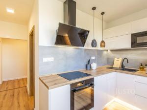 Pronájem bytu 2+1, Frýdek-Místek, Anenská, 61 m2