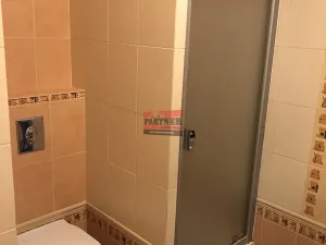 Pronájem bytu 2+kk, Tábor, Janáčkova, 54 m2