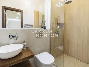 Pronájem bytu 3+kk, Praha - Vinohrady, Polská, 138 m2