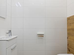 Pronájem bytu 3+kk, Opava, Anenská, 82 m2