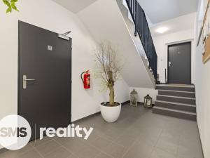 Pronájem bytu 3+kk, Opava, Anenská, 82 m2