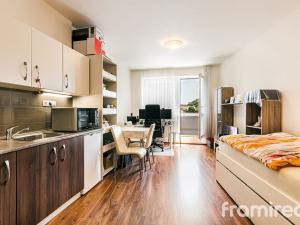 Pronájem bytu 1+kk, Brno, Rybářská, 30 m2