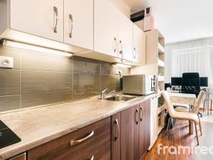 Pronájem bytu 1+kk, Brno, Rybářská, 30 m2