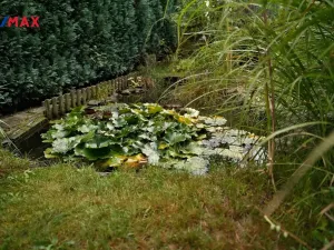 Prodej rodinného domu, Sobkovice, 160 m2