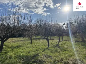 Prodej rodinného domu, Heřmanův Městec, Jiráskova, 150 m2