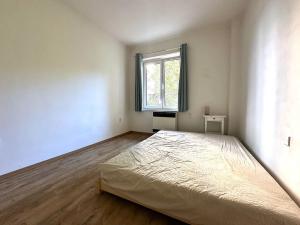 Pronájem bytu 1+1, Praha - Žižkov, Viklefova, 38 m2
