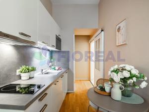 Prodej bytu 1+kk, Praha - Nové Město, Příčná, 26 m2