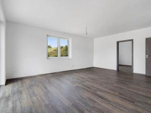 Prodej rodinného domu, Dolní Hbity, 118 m2