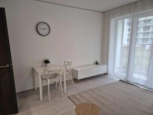 Pronájem bytu 1+kk, Brno, Trnitá, 26 m2