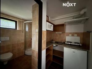 Pronájem bytu 2+kk, Vítkovice, 32 m2