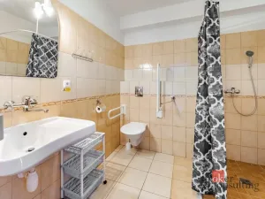 Prodej ubytování, Planá nad Lužnicí, Jabloňová, 400 m2