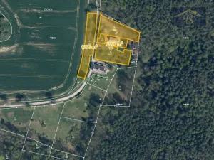 Prodej pozemku pro bydlení, Blíževedly - Skalka, 4292 m2
