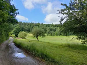 Prodej pozemku pro bydlení, Blíževedly - Skalka, 4292 m2