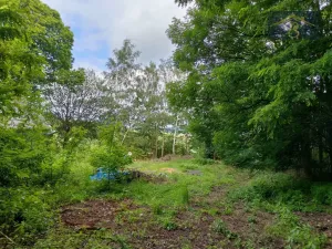 Prodej pozemku pro bydlení, Blíževedly - Skalka, 4292 m2