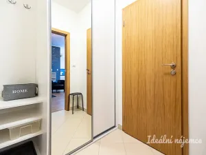 Pronájem bytu 1+kk, Praha - Hloubětín, Nademlejnská, 32 m2