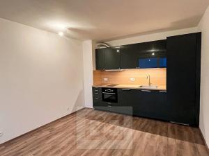 Pronájem bytu 2+kk, Plzeň, Nad Dvorem, 52 m2