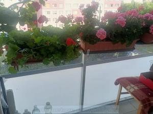 Pronájem pokoje, Praha - Chodov, Holušická, 23 m2