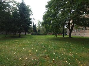 Prodej bytu 1+1, Kladno, Míru, 29 m2