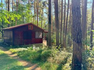 Prodej chaty, Křemže - Chlum, 30 m2