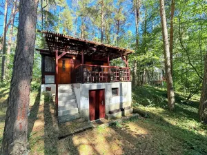 Prodej chaty, Křemže - Chlum, 30 m2