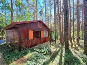 Prodej chaty, Křemže - Chlum, 30 m2